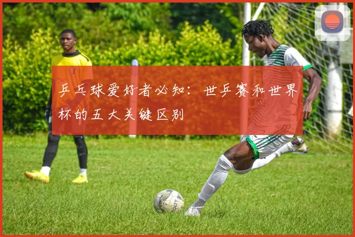 乒乓球爱好者必知:世乒赛和世界杯的五大关键区别