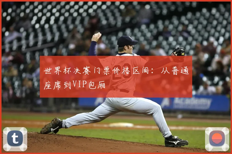 世界杯决赛门票价格区间：从普通座席到VIP包厢