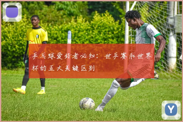 乒乓球爱好者必知:世乒赛和世界杯的五大关键区别